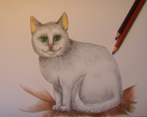 как нарисовать кошку карандашом поэтапно