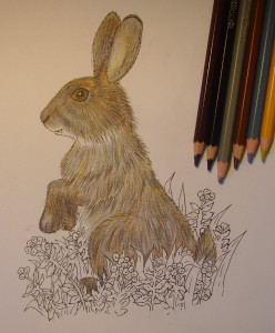 рисунок зайца
