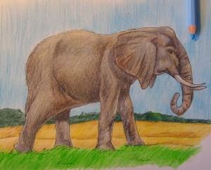 как нарисовать слона карандашом поэтапно