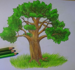 дерево карандашом поэтапно