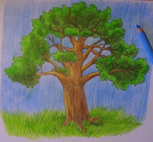 рисунок дерева