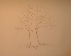 как нарисовать дерево карандашом