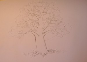 как нарисовать дерево карандашом поэтапно