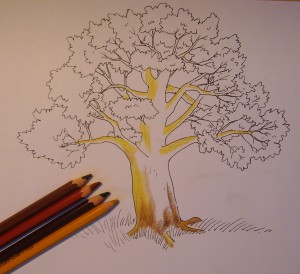 как нарисовать дерево