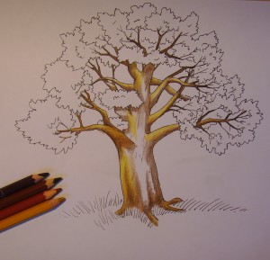 рисунок дерева