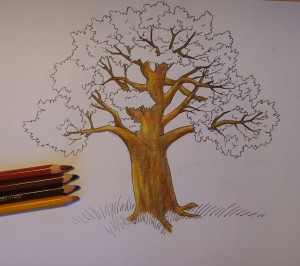 как нарисовать дерево поэтапно
