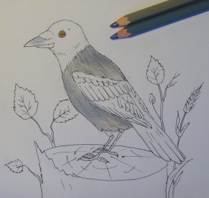 как рисовать птиц