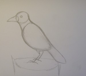 как нарисовать птицу поэтапно карандашом