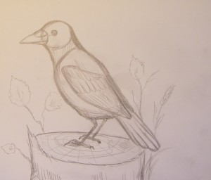 как нарисовать птицу