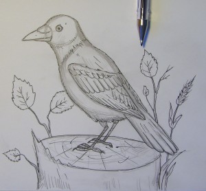 как нарисовать птицу поэтапно