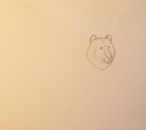 как нарисовать медведя карандашом