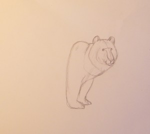 как нарисовать медведя карандашом поэтапно