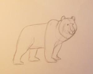 как нарисовать медведя