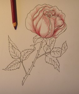 как рисовать розу