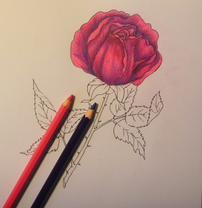 как нарисовать розу карандашом поэтапно