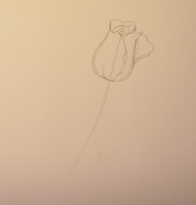 как нарисовать розу карандашом