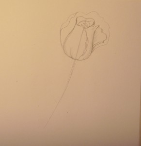 как нарисовать розу карандашом поэтапно
