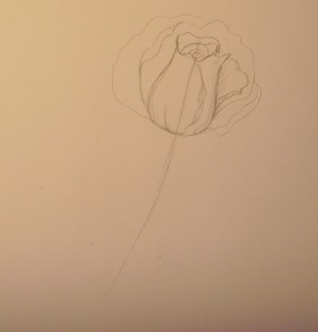 как рисовать розу