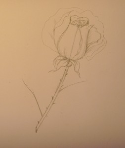 рисунок розы
