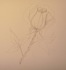 как нарисовать розу поэтапно