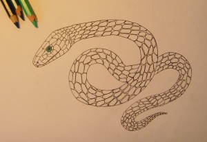 как нарисовать змею карандашом