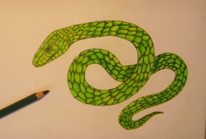 нарисовать змею карандашом