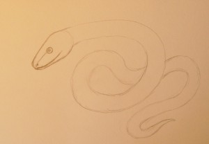 как нарисовать змею карандашом поэтапно