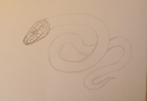 нарисовать змею карандашом
