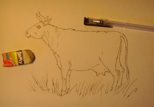 как нарисовать корову карандашом поэтапно
