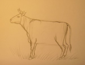 как нарисовать корову поэтапно