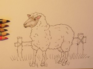 рисунок овечки