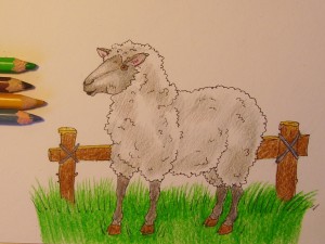 как нарисовать овечку карандашом поэтапно