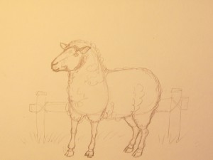 овечка нарисовать карандашом