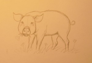рисунок свинки