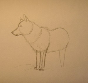 как рисовать волка карандашом