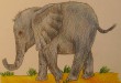 как нарисовать слоненка
