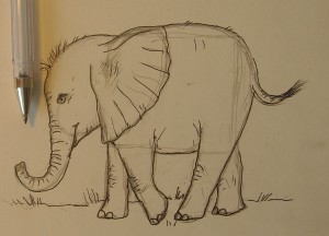 рисунок слоненка