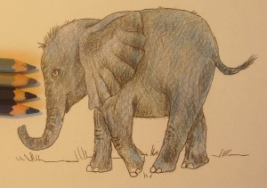 нарисовать слоненка карандашом
