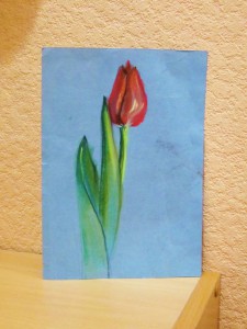 как нарисовать тюльпан