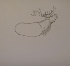 как нарисовать оленя