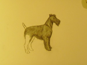 как рисовать собаку
