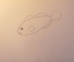 как нарисовать рыбу карандашом поэтапно