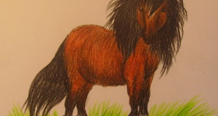 как нарисовать пони