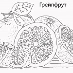 8грейпфрут