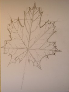 как рисовать кленовый лист