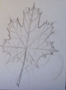 как нарисовать кленовый лист