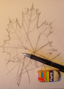 как нарисовать кленовый лист карандашом