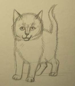 как рисовать котенка