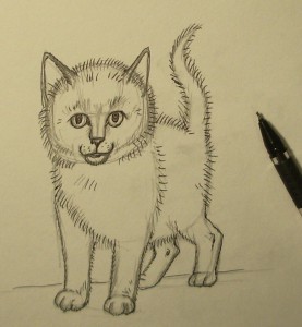 как нарисовать котенка