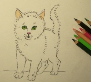 как нарисовать котенка карандашом